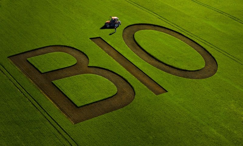 bio